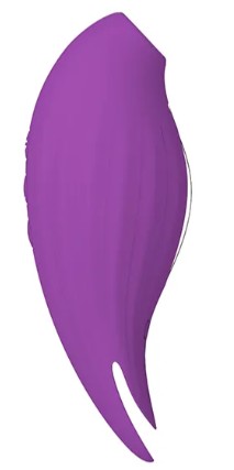 The Kisser Massager Purple
